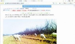 楚天传媒爆料最新消息,揭秘重大事件背后真相！