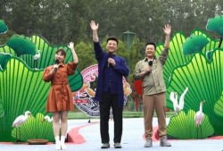 临沂男子爆料新闻视频最新,揭露惊人真相，视频曝光引发社会关注
