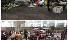 半山小镇爆料最新消息是真的吗,最新消息真实性揭秘