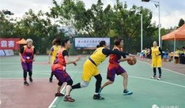 厦门体育爆料事件最新,真相与争议交织的幕后故事