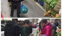 半山小镇爆料最新消息是真的吗,最新消息真实性揭秘