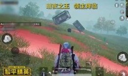 和平精英新版本爆料最新,全新内容与玩法大曝光！